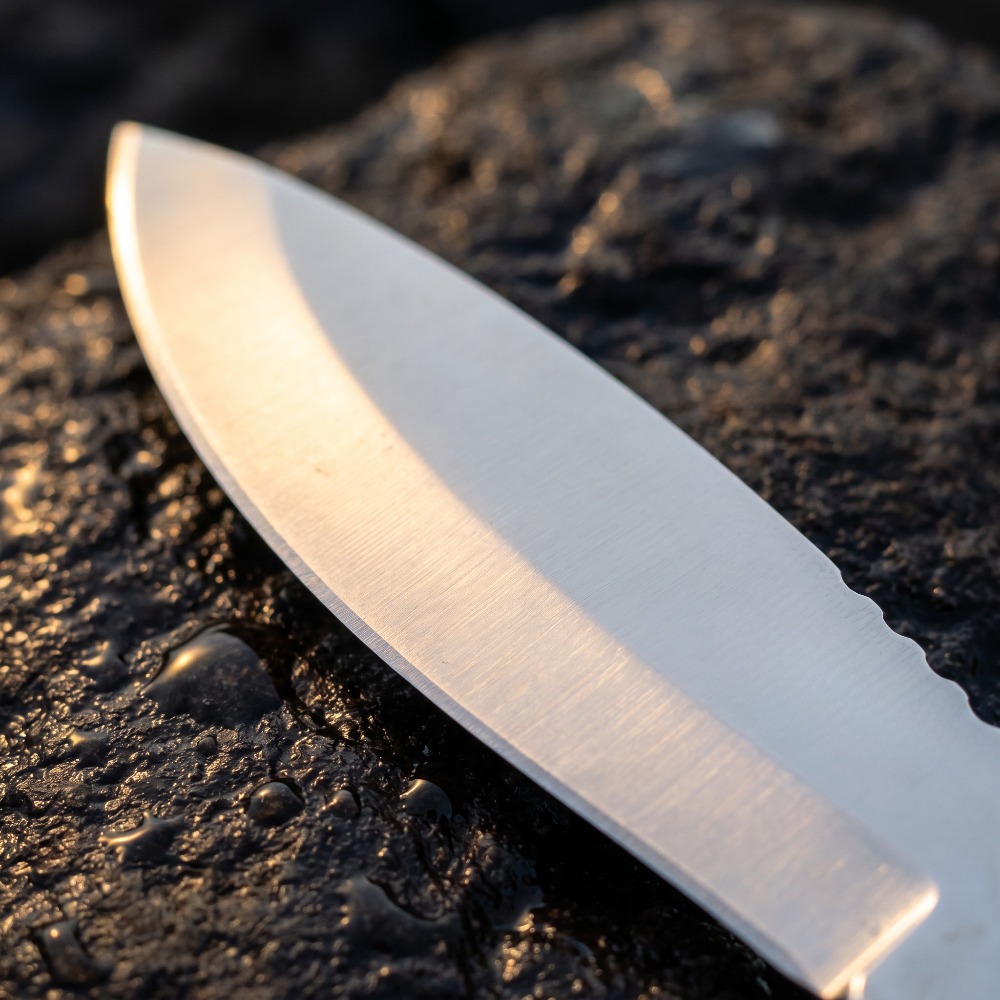 Coltello a lama fissa ad alta  - Hunting And Camping In Jungle recensione e prezzo
